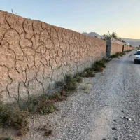 باغ فروشی