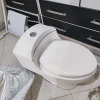 سرویس فرنگی کاملا سالم درحد