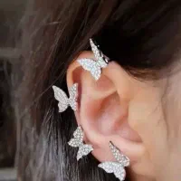 ایرکاف پروانه|بدلیجات|اصفهان, باغ دریاچه|دیوار