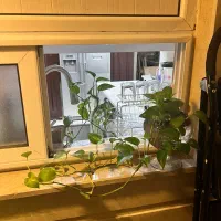 پرستار کودک دو قلو ۴ ساله شبانه روزی