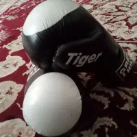 دستکش بوکس