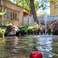 اجاره سوئیت ویلایی دربست|اجارهٔ کوتاهمدت ویلا و باغ|خوانسار, |دیوار