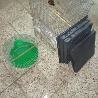 قفس کاسکو-عروس-مرغ عشق-بلبل-و دیگر پرندگان