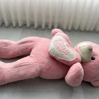 عروسک خرسی|اسباب‌بازی بچه|ملایر, |دیوار