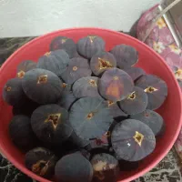 شیره انجیر خالص|خوردنی و آشامیدنی|شیراز, کوشک بیدک|دیوار