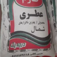 برنج طارم هاشمی( ما زنده در آن) بابل شهر بهارنارج|خوردنی و آشامیدنی|تبریز, |دیوار