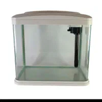 آروانا خوش سایز*فروش اکواریوم شرکتی|ماهی|زنجان, |دیوار