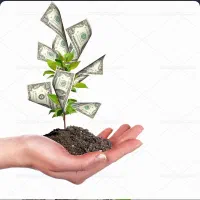 سرمایه گذاری/مشارکت در کار/تامین سرمایه