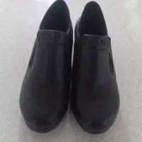 کفش نو|کیف، کفش، کمربند|بیرجند, |دیوار