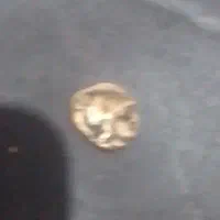 اصل