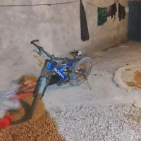 دوچرخه|دوچرخه، اسکیت، اسکوتر|دوگنبدان, |دیوار