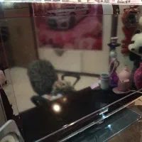 سامسونگ ال سی دی ۴۲