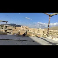 کفتر دم سفید