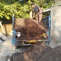 پخش  کود حیوانی  باغبانی|خدمات باغبانی و درختکاری|هشتگرد, تهران دشت|دیوار