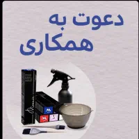 اجاره لاین رنگ ،مش وکراتینه مو درجردن|آرایشگاه و سالن‌های زیبایی|تهران, جردن|دیوار