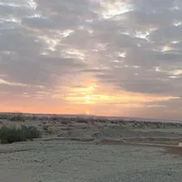 خودرو اجاره