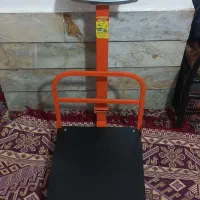 ترازو ۳۰۰ کیلویی