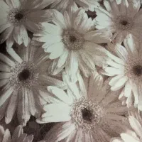 قالیچه ۴ متری