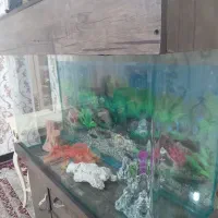 آکواریوم شیشه خم شرکتی