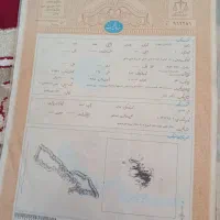 فروش زمین ۴۰۰ متری بین گلبهار و چناران  معا وضه|فروش زمین و ملک کلنگی|مشهد, سید رضی|دیوار