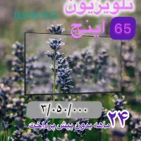 لوازم خانگی اقساطی،تلویزیون،اسپیکر،یخچال و|سایر لوازم برقی|مشهد, بهشت|دیوار