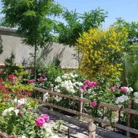 باغ-ویلا-در-چشم-انداز-گلبهار-تهاتر-با-ملک-معاوضه