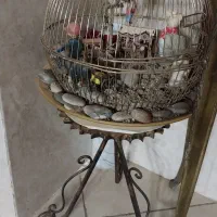 دکوری و تزیینی