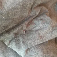 موکت