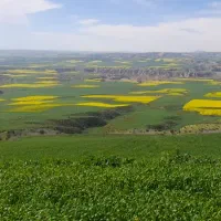 زمین کشاورزی