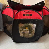 خرگوش لوپ بازیگوش با وسایل به فروش میرسد|موش و خرگوش|اردبیل, |دیوار