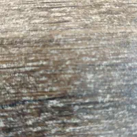 منشی رستوران