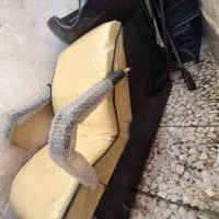 لوازم خانه همگی ب فروش میرسد