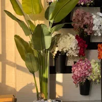 حراج درختچه مصنوعی|حراج|آفتاب, |دیوار