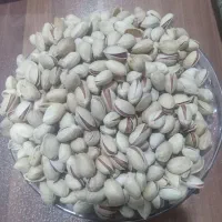 فروش پسته تازه کلی جزئی|عمدهفروشی|قم, نوبهار|دیوار