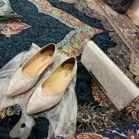کفش مجلسی