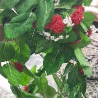 گل مصنوعی|گل مصنوعی|شوشتر, |دیوار