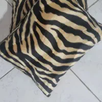 دیجیتال  کوسن|صوتی و تصویری|شیراز, دکتر حسابی|دیوار