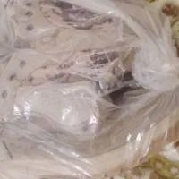 سلام دوجفت پوتین دودست لباس نظامی یک اورکت نظامی