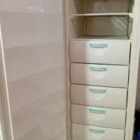 فریزر پارس اصلی