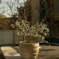 تزئینی منزل|مجسمه، تندیس، ماکت|تهران, کاشانک|دیوار