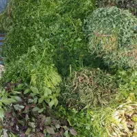 سبزی قرمه پرسرخ با بهترین کیفیت|خوردنی و آشامیدنی|تهران, بیسیم|دیوار