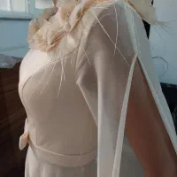 لباس مجلسی|لباس|ساری, |دیوار