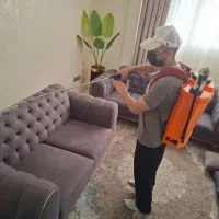 سمپاشی ارکیده(شهریار ملارد سرآسیاب کرج تهران)