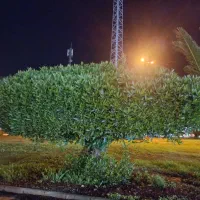 زمین-مسکونی-اسلام-آباد-علیا
