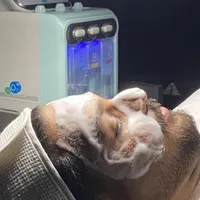 پاکسازی تخصصی پوست