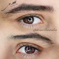 دعوت مدل میکرو ابرو سبک های جدید|خدمات آرایشگری و زیبایی|شاهینشهر, شهرک میلاد|دیوار
