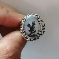 انگشتر شجر تک درخت