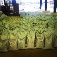 کود کشاورزی