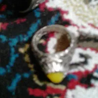 دو عدد انگشتر زینتی|بدلیجات|پرند, فاز ۶|دیوار