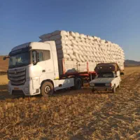 کاه گندم دیم|خدمات باغبانی و درختکاری|قیدار, |دیوار